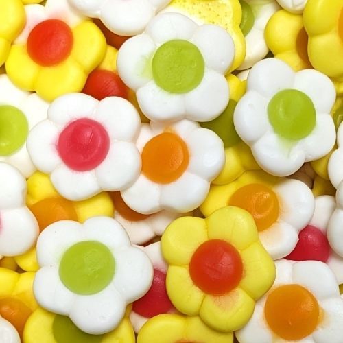 Marguerites Daisies lisses 100g