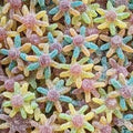 Pieuvres sucrées 100g
